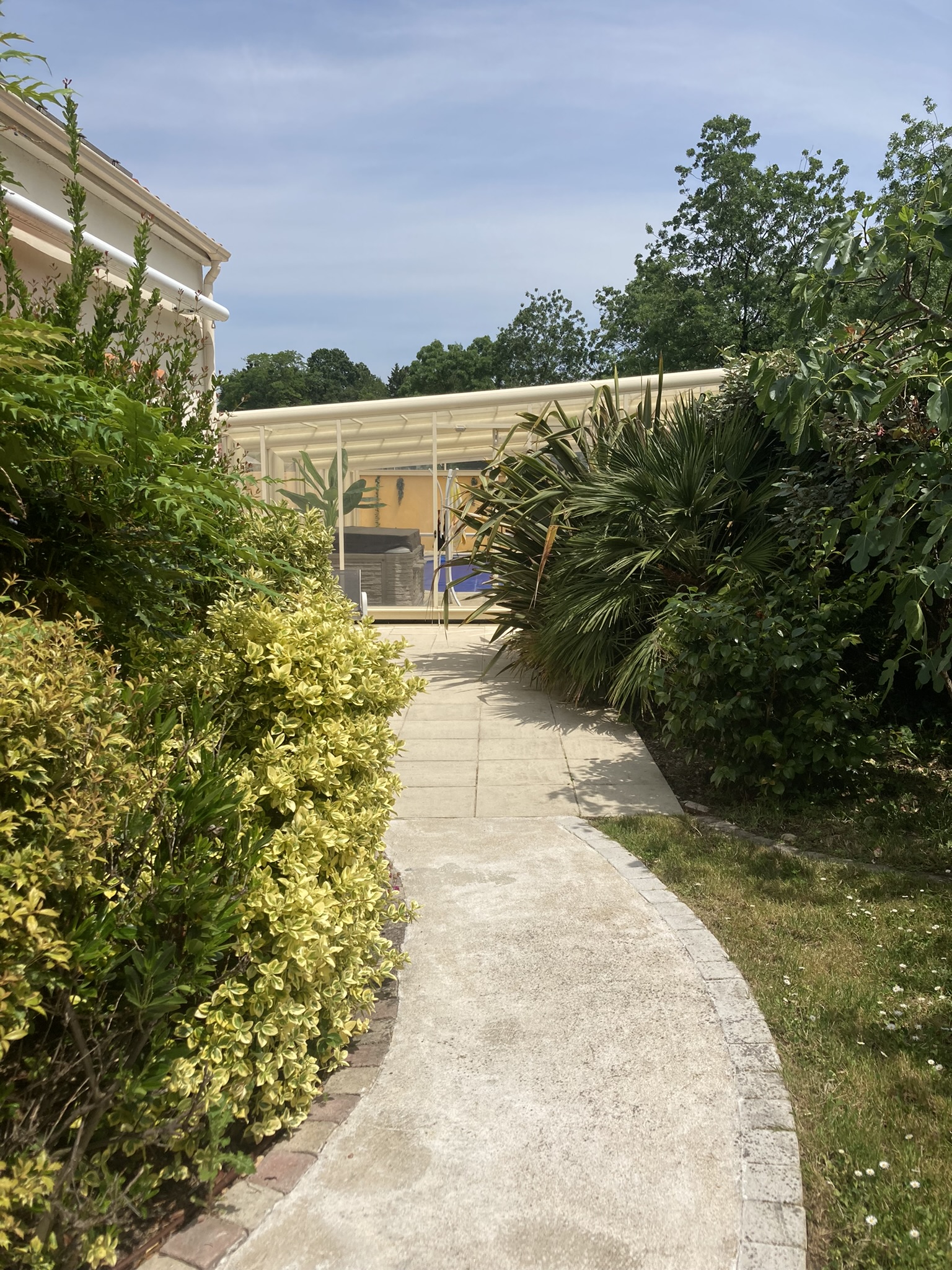 Allée piscine Camélia